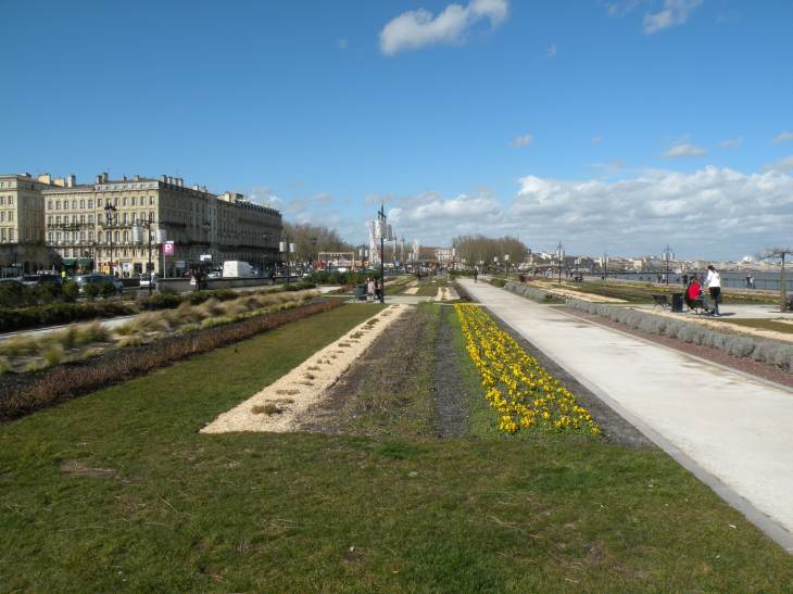  parterre de fleurs